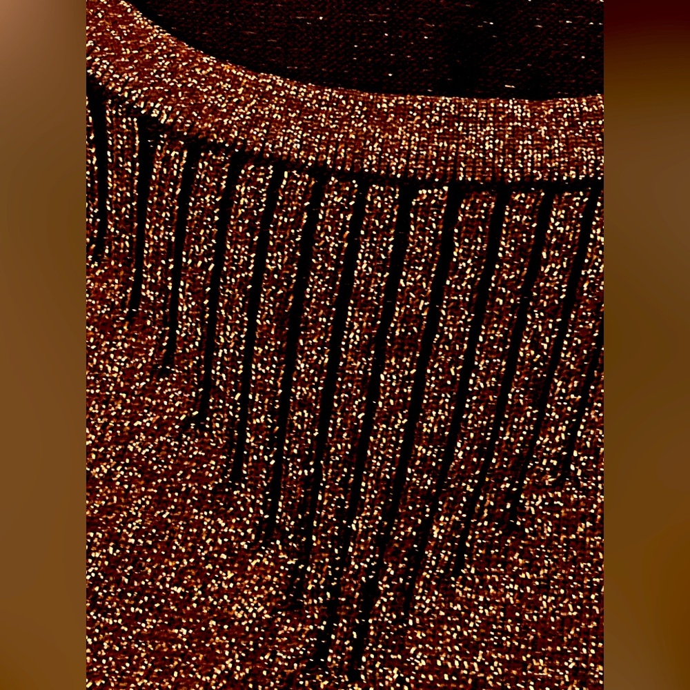Sparkly Bronze Tank 89th & Madison Size Small